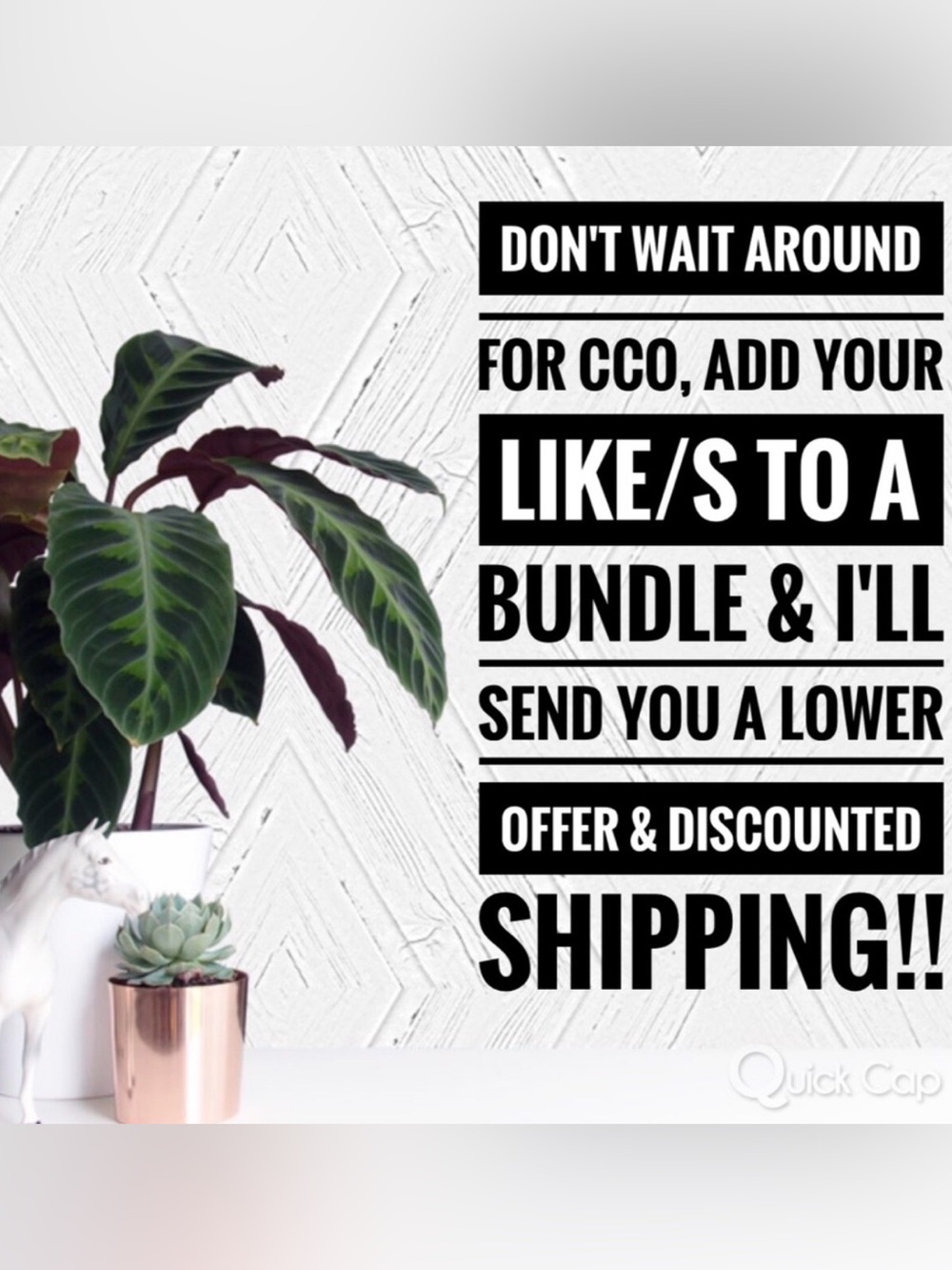 Discount & $4.99 Shipping